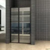 BWS Nisdeur INDUS Met Vast Paneel 130x200 Cm 8 Mm NANO Glas Omkeerbaar Mat Zwart