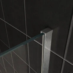 BWS Inloopdouche Pro Line Middenband 110x200 8mm Nano Coating RVS Profiel En Stang -Sealkin Badkamermeubilair Winkel helder geb. staal muurprofiel 2