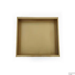 BWS Inbouwnis | 30x30x10cm | RVS Goud